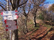 Roccoli del Crosnello-verso Castel Regina-Pizzo Cerro da Catremerio-8nov23  - FOTOGALLERY